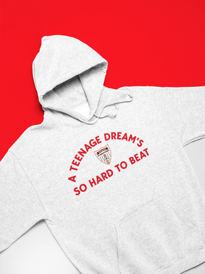 Teenage Dreams Derry City/ Undertones Sweatshirt